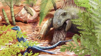 An illustration of an early reptilian predator vomiting up a brown substance on a dusty plain