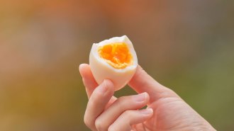 cooked eggs