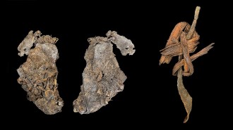 two grayish brown fragments of elk hide and a rustic fiber cord are shown against a black background.