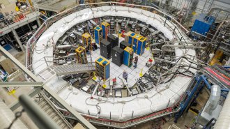 People work in the center of a large, ring-shaped piece of laboratory equipment.