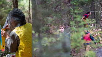 A collage of three photos shows people in a dense forest: one person in a yellow vest and mesh hood interacts with some equipment, a second person in a blue vest stands partly obscured by foliage and two others in red vests walk along a trail.