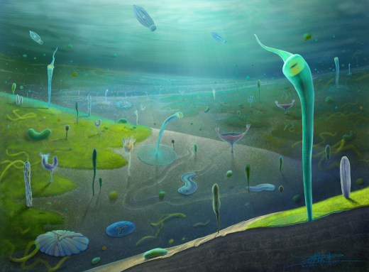 An illustration of Ediacaran animals based on their fossils.